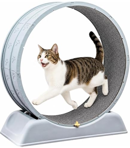 Amazon.co.jp: Vzfv 猫用ランニングホイール キャットホイール 静音